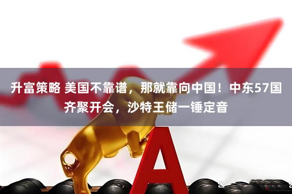 升富策略 美国不靠谱，那就靠向中国！中东57国齐聚开会，沙特王储一锤定音