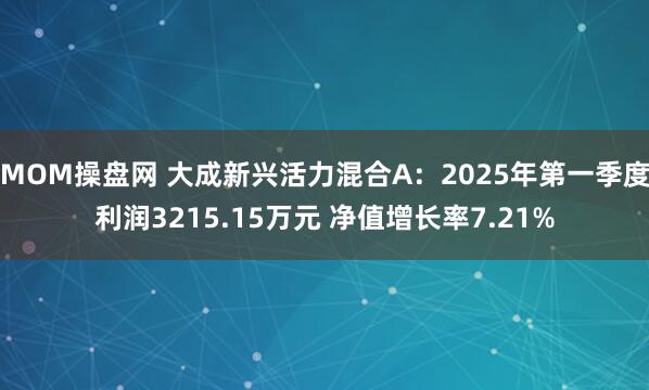 MOM操盘网 大成新兴活力混合A：2025年第一季度利润3215.15万元 净值增长率7.21%