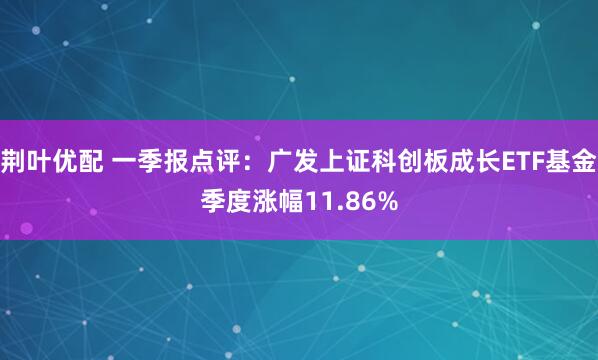 荆叶优配 一季报点评：广发上证科创板成长ETF基金季度涨幅11.86%