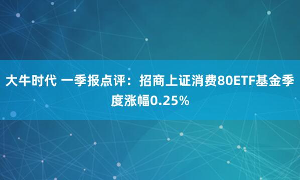 大牛时代 一季报点评：招商上证消费80ETF基金季度涨幅0.25%