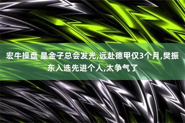 宏牛操盘 是金子总会发光,远赴德甲仅3个月,樊振东入选先进个人,太争气了