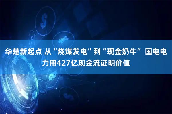 华楚新起点 从“烧煤发电”到“现金奶牛” 国电电力用427亿现金流证明价值