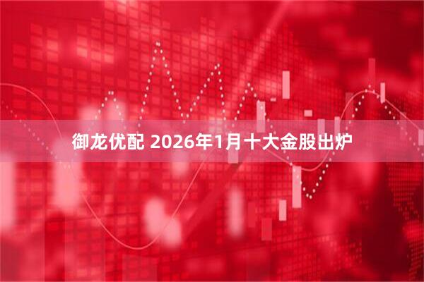 御龙优配 2026年1月十大金股出炉