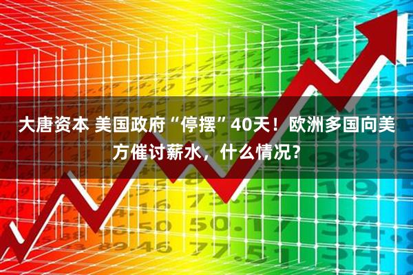大唐资本 美国政府“停摆”40天！欧洲多国向美方催讨薪水，什么情况？