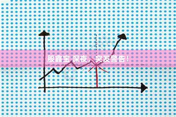 股鑫宝 深夜，突发警告！