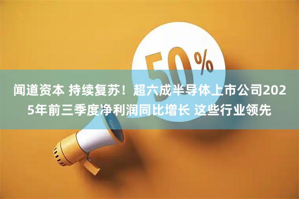 闻道资本 持续复苏！超六成半导体上市公司2025年前三季度净利润同比增长 这些行业领先