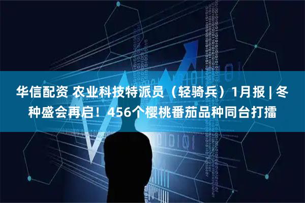 华信配资 农业科技特派员（轻骑兵）1月报 | 冬种盛会再启！456个樱桃番茄品种同台打擂