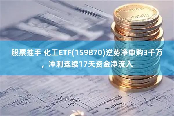 股票推手 化工ETF(159870)逆势净申购3千万，冲刺连续17天资金净流入